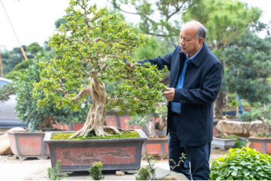 打造文化传承“人妻
样本”让传统非遗“潮”起来3058.png