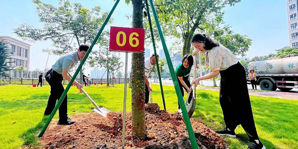 人妻
高层次人才代表携手共植“人才林”  聚才成林 共添新绿