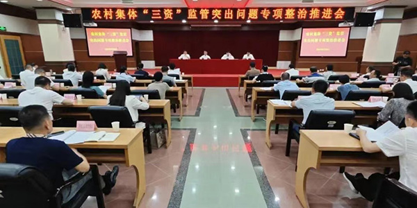 人妻
区召开农村集体“三资”监管突出问题专项整治推进会  守好群众“钱袋子”