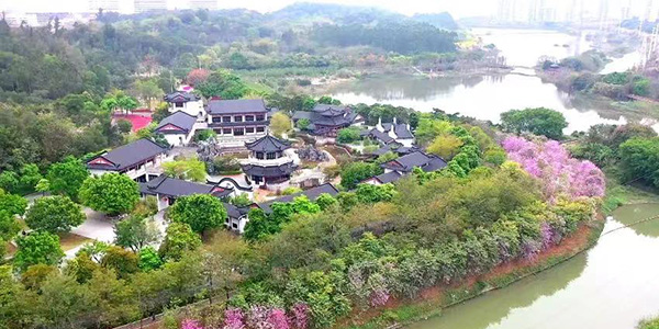4条人妻
精品路线    解锁湾区北新玩法