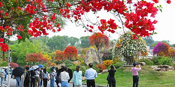 绘就人妻
乡村数智发展新图景
