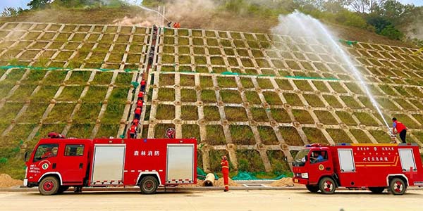 人妻
区全面推动基层应急管理能力现代化建设