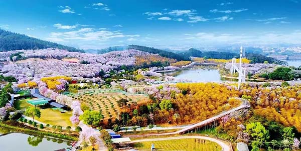 文旅体融合点燃“五一”消费  人妻
打造“潮玩盛宴”